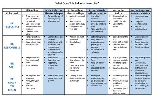 Behavior Matrix English 